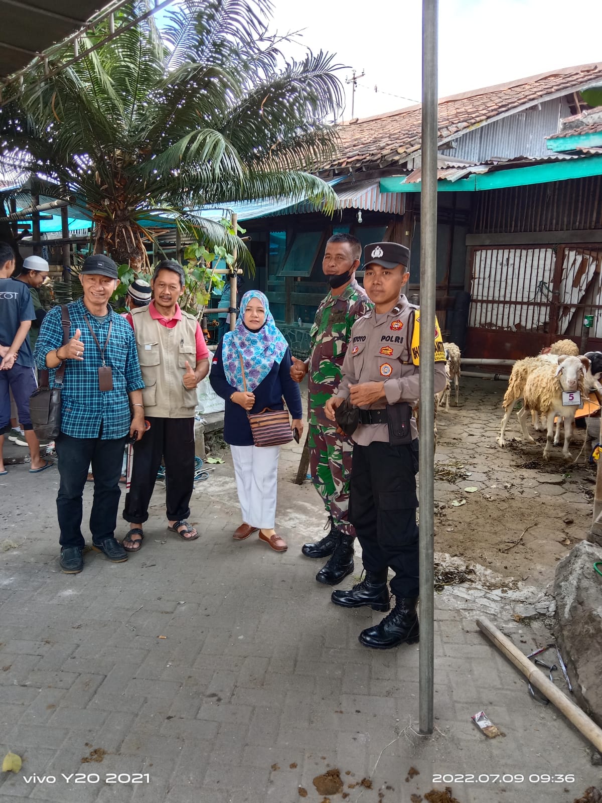 Pemantauan Penyembelihan Hewan Kurban di Wilayah Kelurahan Keparakan